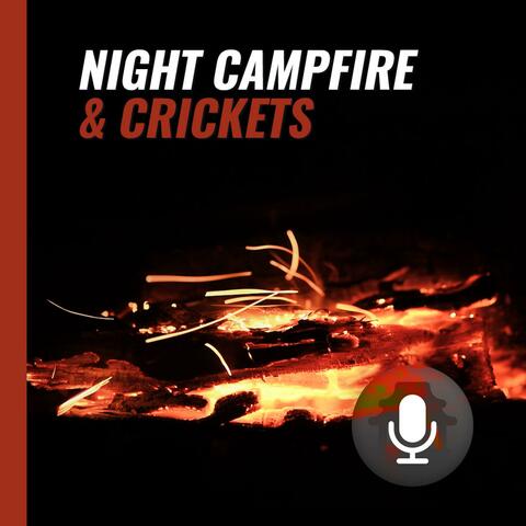 Australian Night Campfire and Crickets Sounds