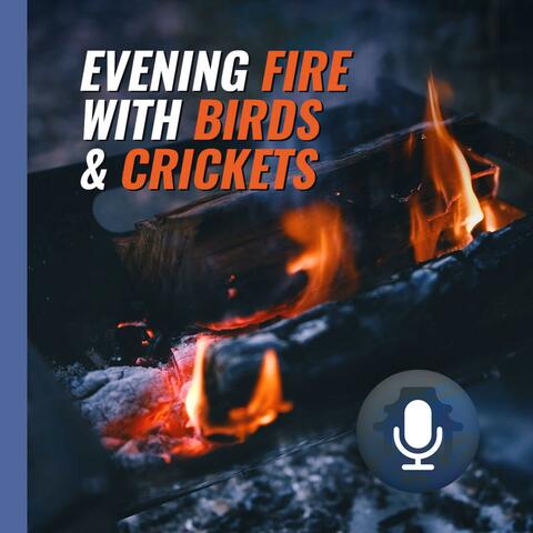 Calming Fire Sounds with Night Forest and Birds Sounds