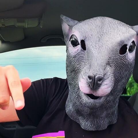 Sobolan la Volan