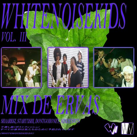 MIX DE ERVAS (feat. shaarksz, STARYXSHI, dontgohoney & miseryswin)