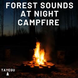 Forest Sounds at Night Campfire Camping Wolves and Crickets 1 Hour Relaxing Nature Ambient Yoga Meditation Sound For Sleeping Relaxation or Studying