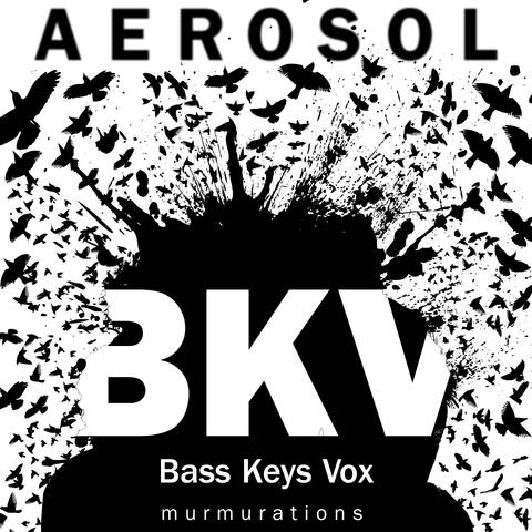 Murmurations (BKV Version)