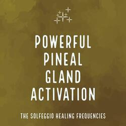 Powerful Pineal Gland Activation