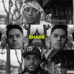 Shark (feat. TYPE 1 & 7vn)