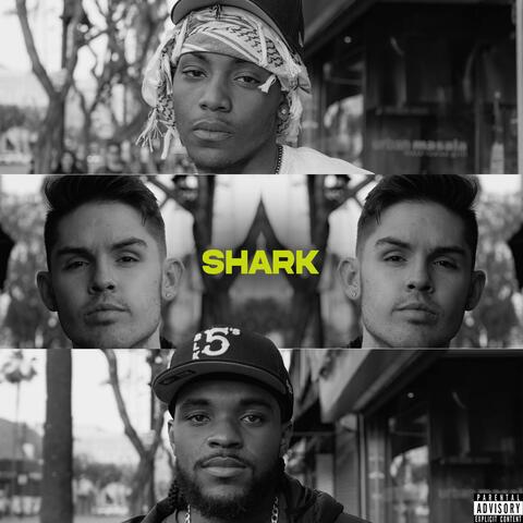Shark (feat. TYPE 1 & 7vn)