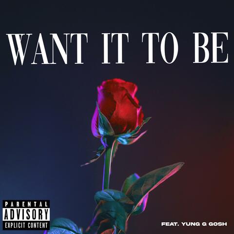 Want It To Be (feat. Yung G Gosh)