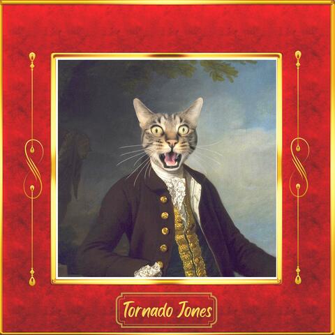 Tornado Jones (Acoustic)