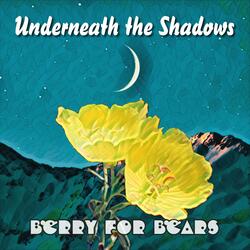 Underneath The Shadows