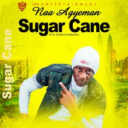 Sugar Cane