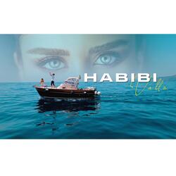 HABIBI VALLAH (feat. SERKAN)
