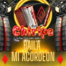 Baila Mi Acordeon