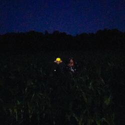 MFYM : Mr. F#ck Your Misses (feat. Joey The Kid)