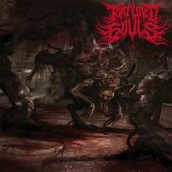 King Of Rot