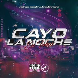 Cayo la noche en Tokio (feat. Taro Ferreyra)