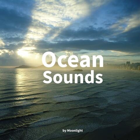 Ocean Sounds by Moonlight