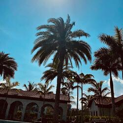 Gotta Go (feat. YFG Lo Benz)