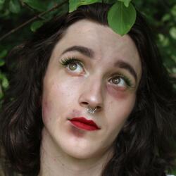 Sycamore