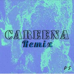 Careena (feat. ARINA) (Remix)