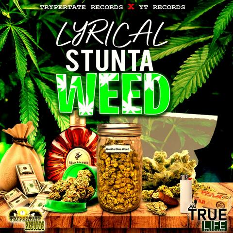 Stunta