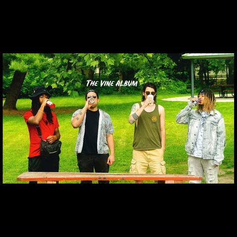 The Vine Album