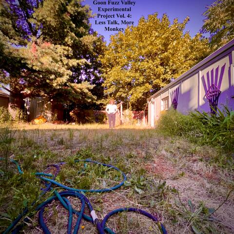 Goon Fuzz Valley Experimental Project Vol. 4: Less Talk, More Monkey