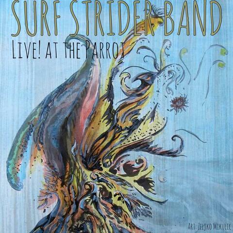 Surf Strider Band Live! at the Parrot