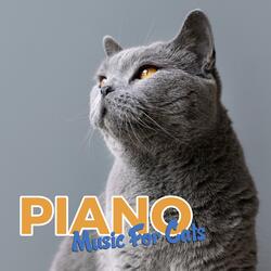 Calming Music For Cats