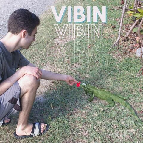 VIBIN