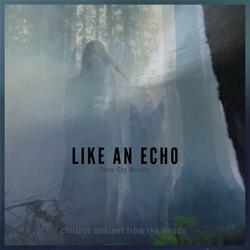 Like an Echo
