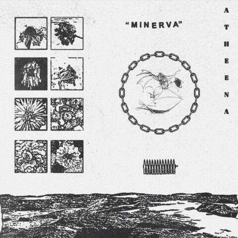 Minerva