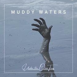Muddy Waters