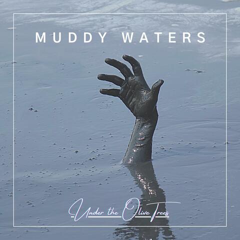 Muddy Waters