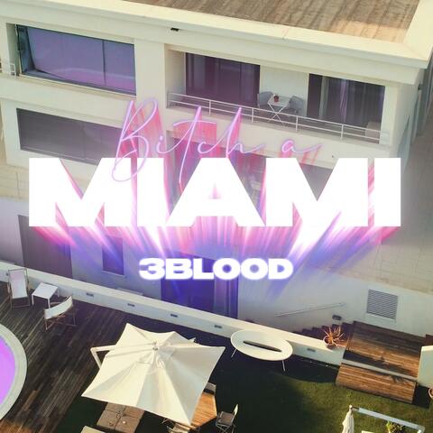 Bitch a Miami