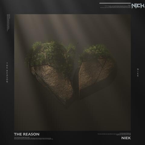 The Reason