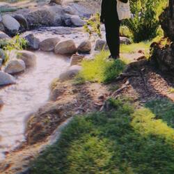 sometimes i wish i went to college