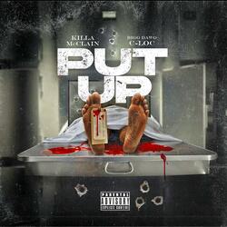 Put Up (feat. Bigg Dawg C LOC)