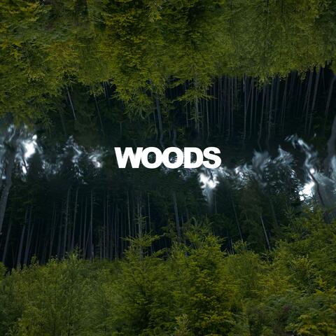 Woods (feat. Kashaga)