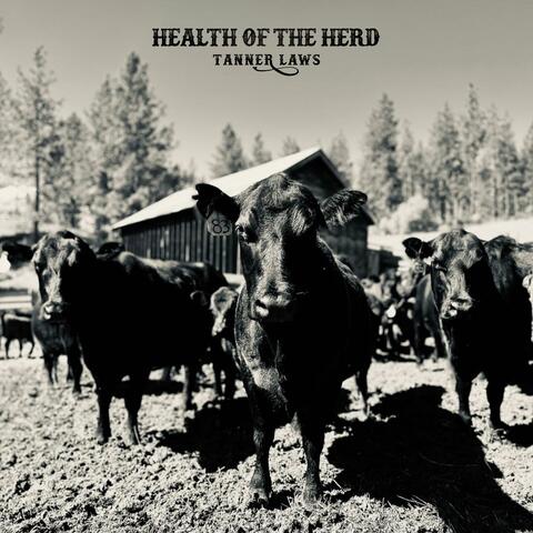 Health of the Herd