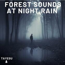 Forest Sounds at Night Rain Frogs Crickets and Owl Rainforest Frog Camping 1 Hour Relaxing Nature Ambient Yoga Meditation Sounds For Sleeping Relaxation or Studying