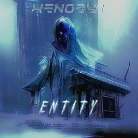 E N T I T Y