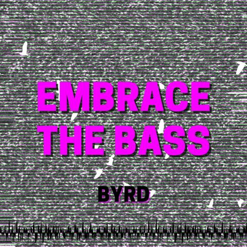 Embrace the Bass