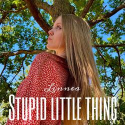 Stupid Little Thing