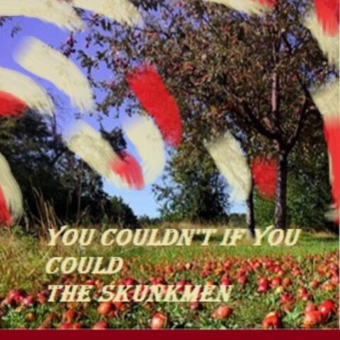 You Couldn't If You Could