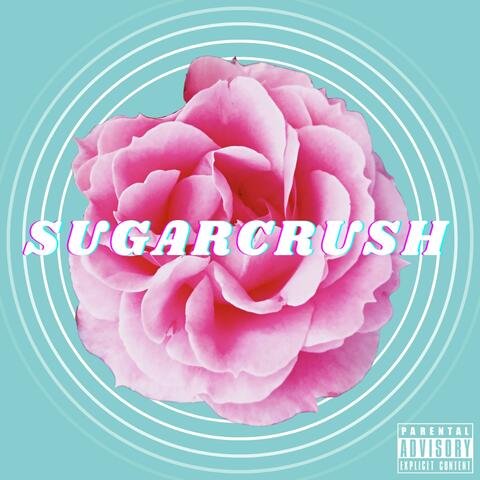 SUGARCRUSH