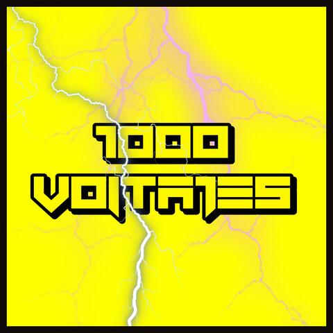 1000 VOLTAJES