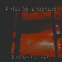Antes del anochecer
