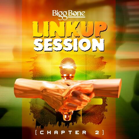 Chapter 2 (Linkup Session)