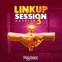 Chapter 3 (Linkup Session)