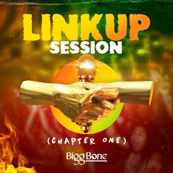 Chapter 1 (Linkup Session)