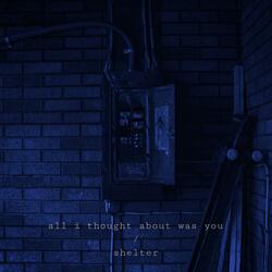 all i thought about was you / shelter